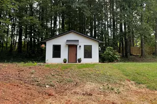 151 Golden Springs Dr, Jasper, GA 30143 - Photo 53