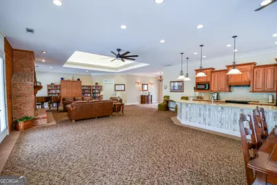4203 Paddock Lane, Newnan, GA 30263 - Photo 45