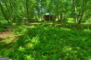 6385 Hwy 2, Epworth, GA 30541 - Photo 13