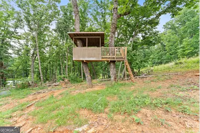 1625 Asbury Mill Road, Cleveland, GA 30528 - Photo 39