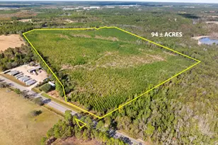 0 Hwy 46, Statesboro, GA 30458 - Photo 1