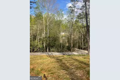 195 Loganberry Ln, Hayesville, NC 28904 - Photo 25