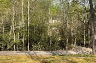 195 Loganberry Ln, Hayesville, NC 28904 - Photo 25