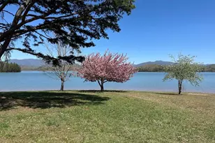 195 Loganberry Ln, Hayesville, NC 28904 - Photo 23