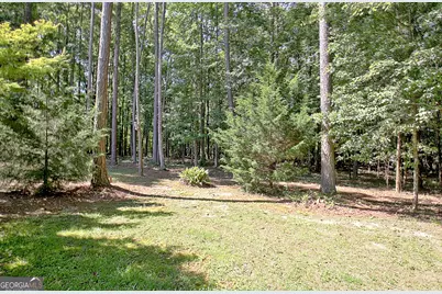 177 Rock House Estates Drive, Senoia, GA 30276 - Photo 55