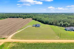 2997 Jason Franklin Rd, Register, GA 30452 - Photo 51