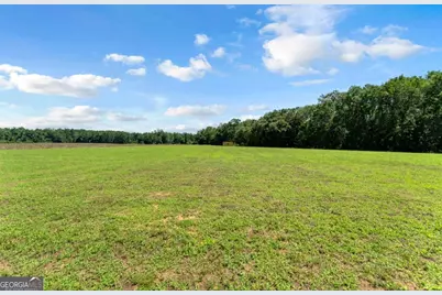 2997 Jason Franklin Road, Register, GA 30452 - Photo 61