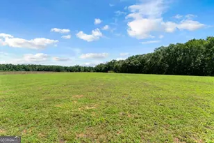2997 Jason Franklin Rd, Register, GA 30452 - Photo 61