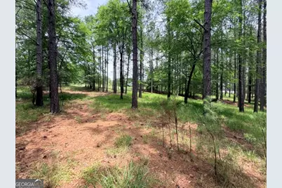 1476 Rock Point Cove, Tignall, GA 30668 - Photo 9