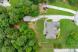 254 Magnolia Pl Dr, Senoia, GA 30276 - Photo 71