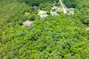 254 Magnolia Pl Dr, Senoia, GA 30276 - Photo 77