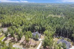 149 Windmill Plantation Dr, Statesboro, GA 30461 - Photo 43