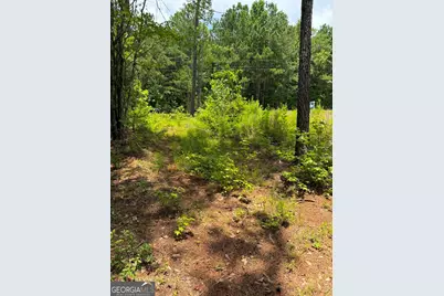 0 Whatley North Rd, Lagrange, GA 30240 - Photo 9