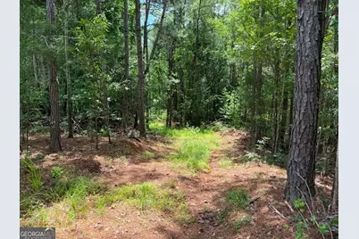0 Whatley North Rd, Lagrange, GA 30240 - Photo 11