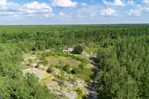 424 SE Hillman Dr, Ludowici, GA 31316 - Photo 7