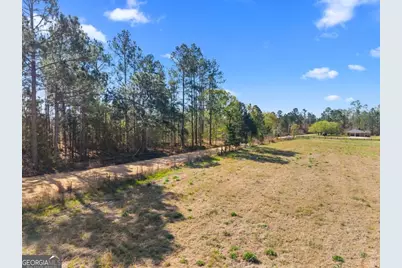 0 Lester Fordham Road, Statesboro, GA 30461 - Photo 3