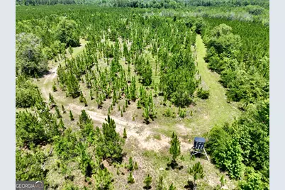 0 W. River Road, Rhine, GA 31077 - Photo 1