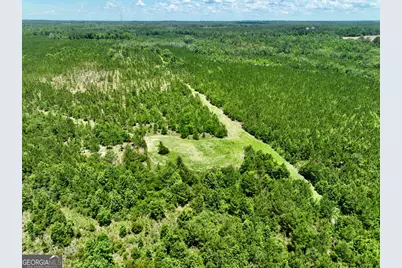 0 W. River Road, Rhine, GA 31077 - Photo 17