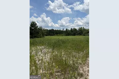 0 W. River Road, Rhine, GA 31077 - Photo 23