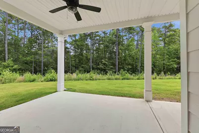 260 Redhaven Drive, Senoia, GA 30276 - Photo 33