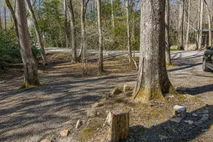 480 Wahu Hu Dr, Hiawassee, GA 30546 - Photo 47