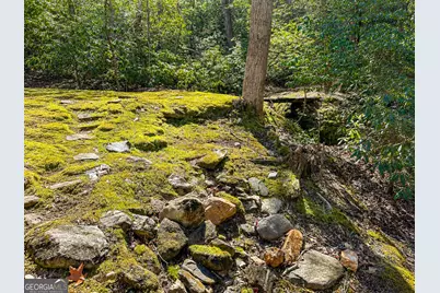 480 Wahu Hu Drive, Hiawassee, GA 30546 - Photo 51