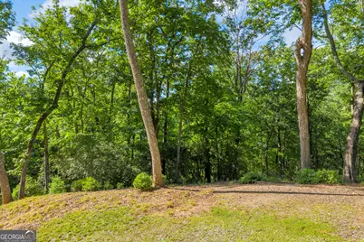 0 Lake Watch Pt, Cleveland, GA 30528 - Photo 7