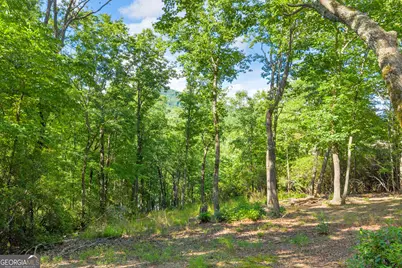 0 Lake Watch Pt, Cleveland, GA 30528 - Photo 11