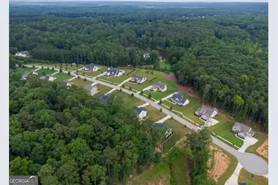 117 Brinley Drive, Sharpsburg, GA 30277 - Photo 55