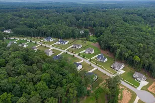 117 Brinley Dr, Sharpsburg, GA 30277 - Photo 55