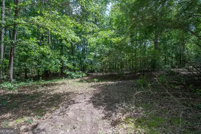 180 Dean Road, Greenville, GA 30222 - Photo 33