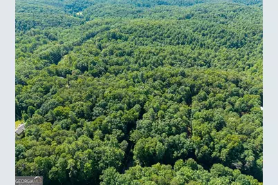955 Lower Tails Creek Road, Ellijay, GA 30540 - Photo 17