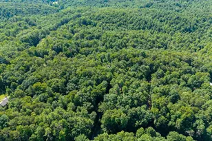 955 Lower Tails Creek Rd, Ellijay, GA 30540 - Photo 17