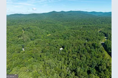 955 Lower Tails Creek Road, Ellijay, GA 30540 - Photo 19