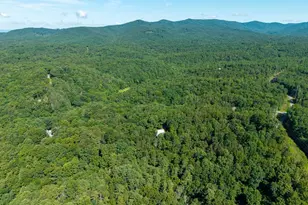 955 Lower Tails Creek Rd, Ellijay, GA 30540 - Photo 19