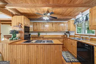 955 Lower Tails Creek Rd, Ellijay, GA 30540 - Photo 29