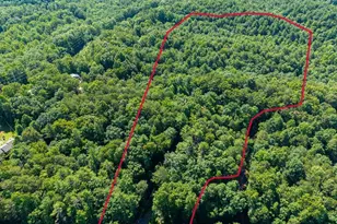 955 Lower Tails Creek Rd, Ellijay, GA 30540 - Photo 15
