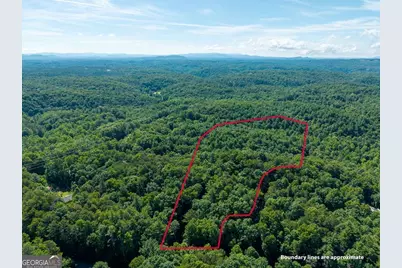 955 Lower Tails Creek Road, Ellijay, GA 30540 - Photo 15