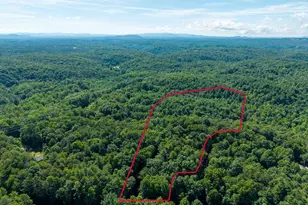 955 Lower Tails Creek Rd, Ellijay, GA 30540 - Photo 15