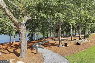 220 Portico Pl, Newnan, GA 30265 - Photo 43