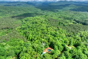 782 Scenic Mountain View Rd, Blue Ridge, GA 30513 - Photo 41