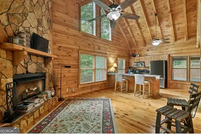 782 Scenic Mountain View Road, Blue Ridge, GA 30513 - Photo 9