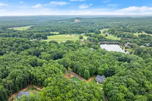 708 Plum Ln, Clarkesville, GA 30523 - Photo 43