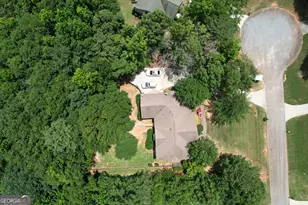 136 Craftsman Way, Milner, GA 30257 - Photo 73