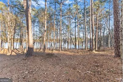 287 Spring Branch Circle, Toccoa, GA 30577 - Photo 53