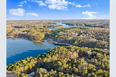287 Spring Branch Circle, Toccoa, GA 30577 - Photo 69