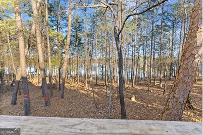 287 Spring Branch Circle, Toccoa, GA 30577 - Photo 47