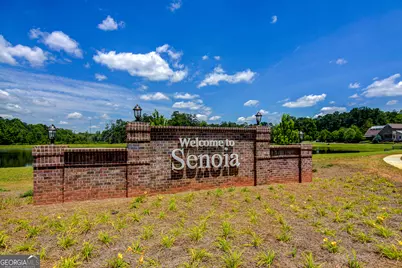 175 Spring Circle, Senoia, GA 30276 - Photo 51