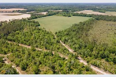 0 Old River Road S #LOT 7, Brooklet, GA 30415 - Photo 3