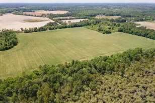 0 Old River Rd S, Brooklet, GA 30415 - Photo 1